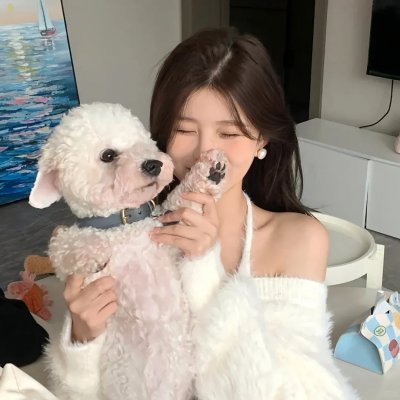 追梦小海豚