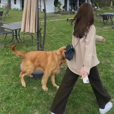 又见白娘子