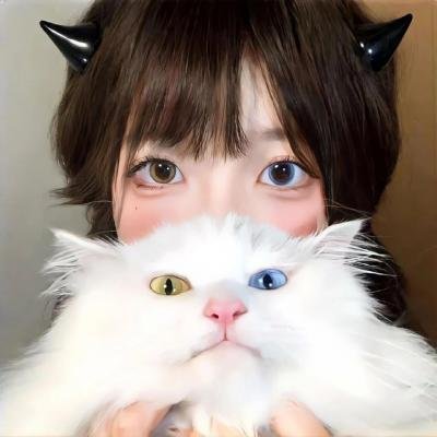 纸牌屋第四季